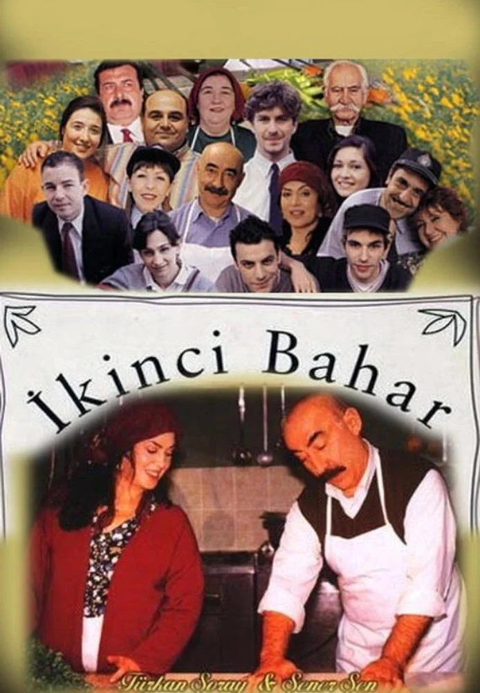 Вторая весна турецкий сериал, постер