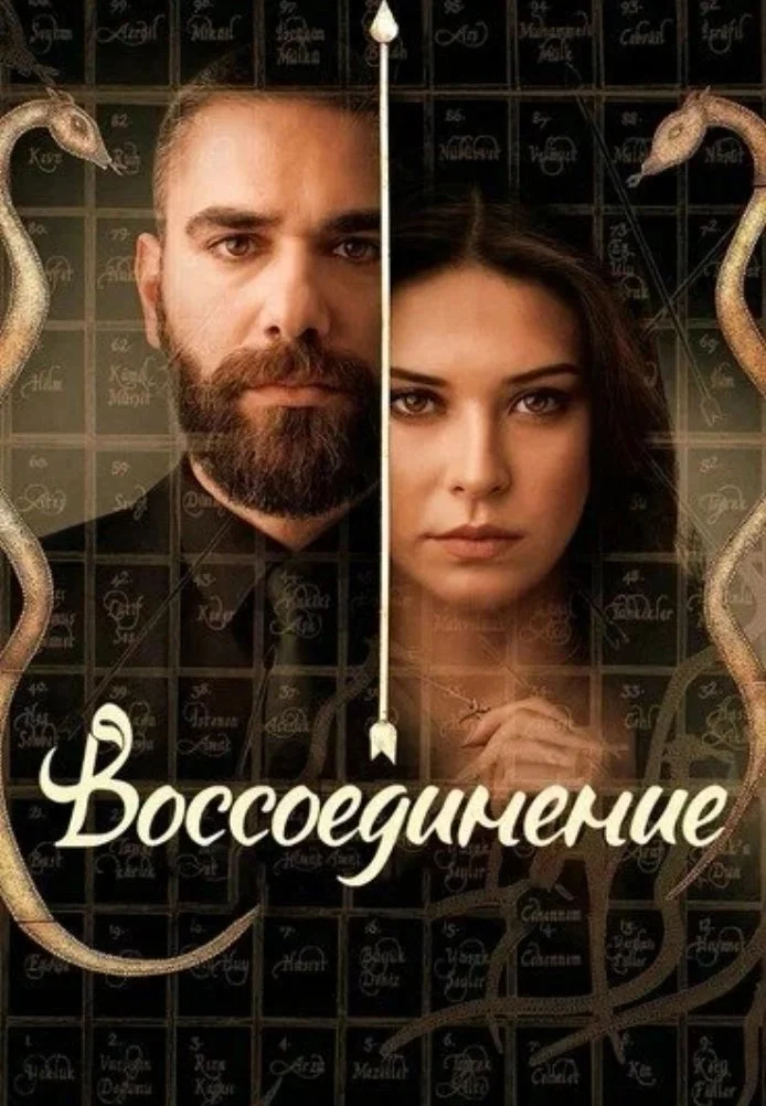 Воссоединение турецкий сериал, постер