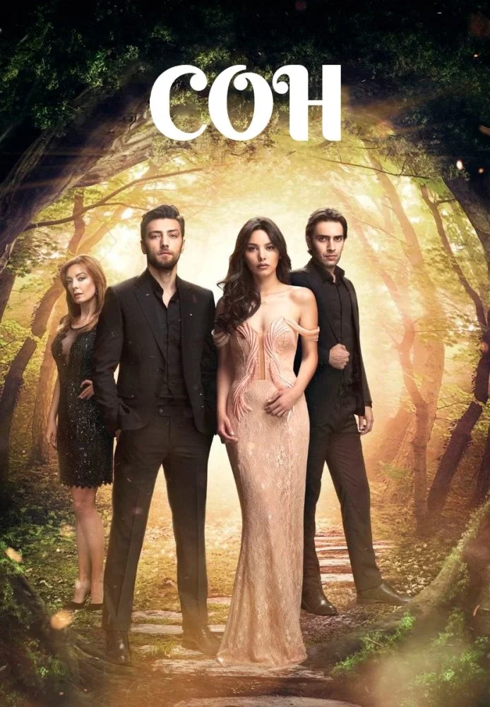 Сон турецкий сериал, постер