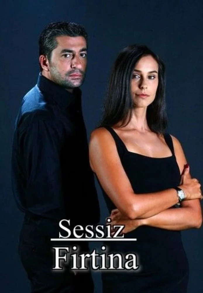 Тихая буря турецкий сериал, постер