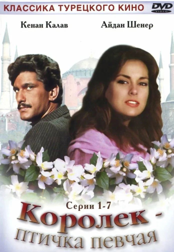 Королёк – птичка певчая (1986) турецкий сериал, постер