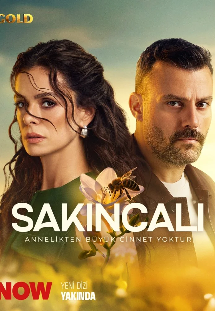 Подозрительный турецкий сериал, постер