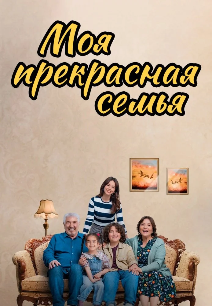 Моя прекрасная семья турецкий сериал, постер