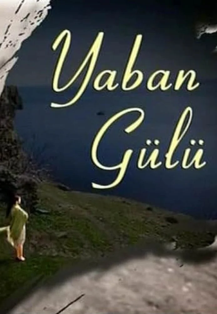 Дикая роза турецкий сериал, постер