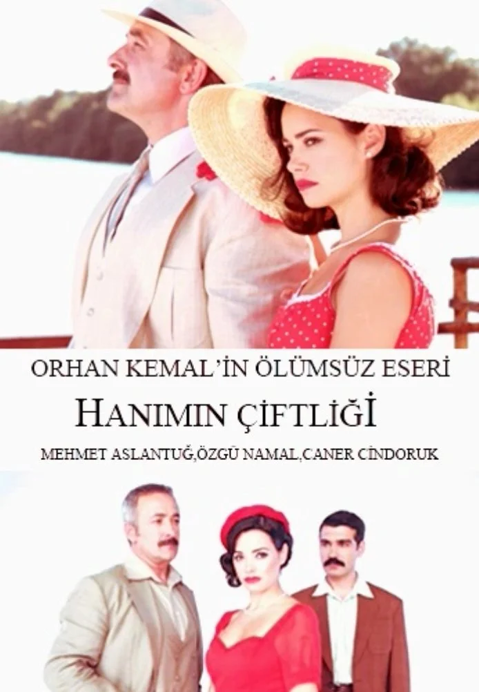 Усадьба госпожи турецкий сериал, постер