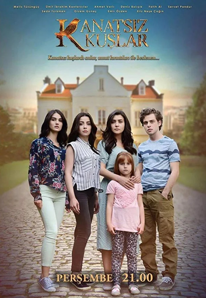 Птицы без крыльев турецкий сериал, постер